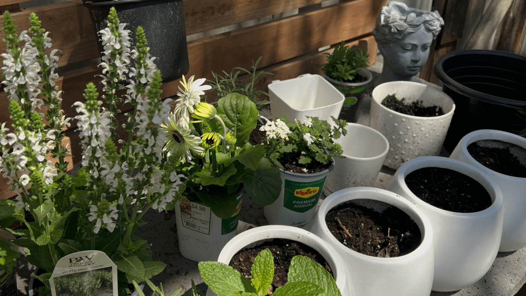 5 Amazon Garden Essentials I Swear By (and You Might,&nbsp;Too)